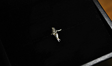 Heizoose Aloha + Supply オリジナルシルバーピアス